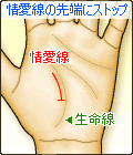 情愛線の先端にストップ