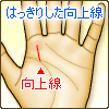はっきりした向上線