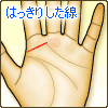 はっきりした線