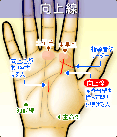 向上線