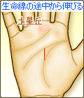 生命線の途中から中指のつけ根(土星丘)に伸びる線