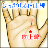 はっきりした向上線