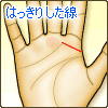はっきりした線