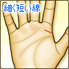 細く短い線