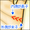 内側の線を長子、外側の線を末子の順番になります。