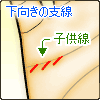 下向きの支線