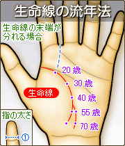 手相 生命線 枝分かれ