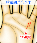 財運線が1、2本ある