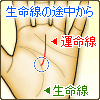 生命線の途中から伸びる