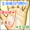 生命線の内側(金星丘)から伸びる