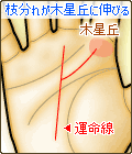 運命線が枝分れして、一方が木星丘に伸びる