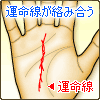 からみ合うの運命線