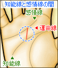 運命線が知能線から感情線まで伸びる