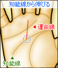 運命線が知能線から伸びる