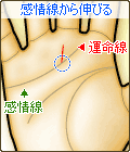 運命線が感情線から伸びる