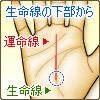 生命線の下部から伸びる