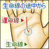生命線の途中から伸びる