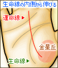 生命線の内側(金星丘)から伸びる
