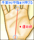 手首から中指まで伸びる