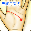知能線の先端が房状