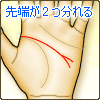 知能線の先端が2つに分れる