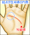知能線の起点が、生命線の内側から始まる