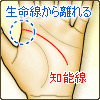 知能線の起点が生命線から離れる