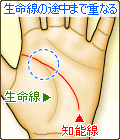 知能線の起点が、生命線の途中まで重って始まる