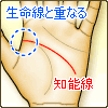 知能線が生命線と重なる