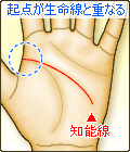 知能線の起点が、生命線と重なる