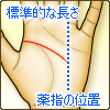知能線が標準的な長さ