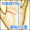知能線が短い