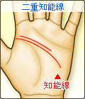 二重知能線