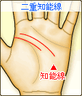 二重知能線