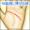 知能線に横切る線