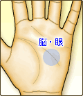 知能線上に