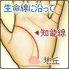 知能線が、地丘に伸びる