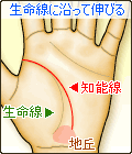 知能線が、地丘に伸びる