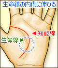 知能線が、生命線の内側伸びる
