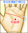 知能線が手の外側まで伸びる