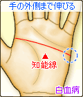 知能線が手の外側まで伸びる