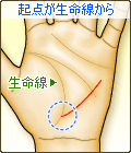 起点が生命線から始まる