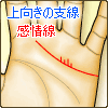 感情線に上向きの支線がある
