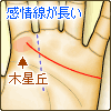 感情線が長い