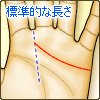 感情線が標準的な長さ