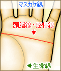 マスカケ線