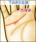 感情線から下向きの支線がある