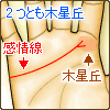 2つに分れ、2つとも木星丘に伸びる