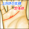 感情線に上向きの支線がある