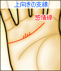 感情線から上向きの支線がある